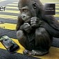 Next-Gen iPhone Could Use Gorilla Glass 4