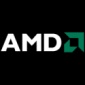 Next-Generation AMD Leo Platform Due Out in 2010