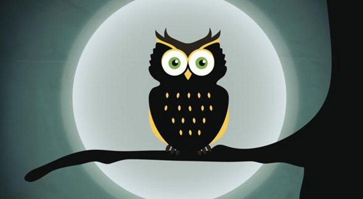 night owl sleep study
