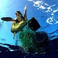 Nine of US' Dirtiest Fisheries Exposed in New Oceana Report
