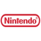 Nintendo's Sales Depend on 'Fun Products'