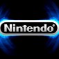 Nintendo Versus German Wii Mod Chip Sellers