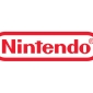 Nintendo Wins Legal Battle Against French DS Pirates