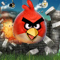 No Angry Birds on Windows Phone 7 This Year