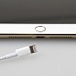No Touch ID for Apple’s New iPads