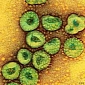Novel Coronavirus Can Spread from Person to Person, WHO Says