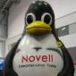 Novell acquires Immunix