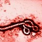 Nurse at Hospital in Dallas, Texas, Confirmed to Have Ebola