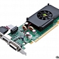 Nvidia Quietly Adds GeForce GT 405 to Its Graphics Card Portfolio