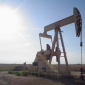 OPEC Met to Discus Oil Crisis