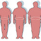 Obesity, Diabetes Controlled by Same Master Gene