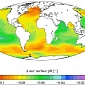 Ocean Acidification May Double This Century