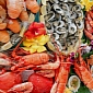 Oceana Approves of Bill Aimed at Stopping Seafood Fraud