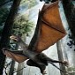 Odd Dinosaur Was the Size of a Pigeon, Had Bat-like Wings