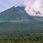 Oil Production in Virunga National Park Is a Bad Idea, EU Reps Say