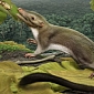 Oldest Human Ancestor Was a Rat-like Creature, Emerged After the Dinosaurs' Demise