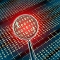One in Three European Internet Users Infected with Malware in 2010