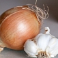 Onions and Garlic Help Clean Wastewater