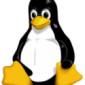 Open Source Group Acquires Microsoft Linux-Focused Patents
