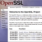 OpenSSL Software Foundation: We Need Corporate and Govt Support to Hire Full-Time Workers