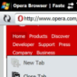 Opera Mobile 9.7 Screenshots Surface