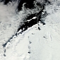 Operation IceBridge Resumes in Antarctica