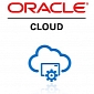 Oracle Confirms Existence of 30 Security Holes in Java Cloud Service