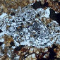 Oregon Ditch Reveals Large Meteorite
