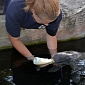 Orphaned Manatee Is Thriving at Lowry Park Zoo in Tampa, Florida