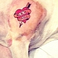 Outrage As Artist Tattoos His Dog, Posts Picture on Instagram