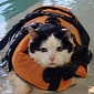 Overweight Cat Goes Swimming, Hopes to Soon Get Back in Shape