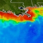 Oxygen Levels in Ocean Dead Zones Are Critical