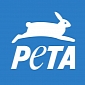 PETA Lashes Out at Katy Perry, Criticizes Her Video for “Roar”