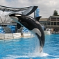 PETA's Whale Slavery Lawsuit Against SeaWorld Tossed