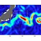 Pacific Ocean Reveals Effects of Fukushima Accident