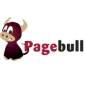 Pagebull: Innovative Visual Search Engine