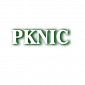 Pakistani Registrar PKNIC Explains How Google Was Hijacked