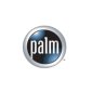 Palm's Last Chance to Resurrect Itself