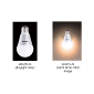 Panasonic EVERLED Might Just Be the LED-Powered Light Bulbs of the Future