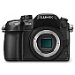Panasonic GH4 Gets More Images, Official Announcement Tomorrow, February 7