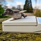 Penguin Chicks Hatch at Chester Zoo in the UK