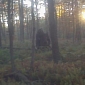 Pennsylvania Bigfoot Caught on Camera Is Actually Tree Stump, Tipster Says