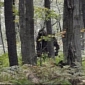 Pennsylvania Man Snaps Photo of Sasquatch After “Bigfoot Calling Contest”