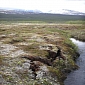 Permafrost Will Release More Carbon Than First Suspected