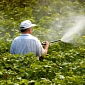 Pesticide Exposure, Head Injuries Triple the Risk of Parkinson’s Disease