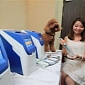 Pet Health Can Be Measured with This Biochemical Analyzer