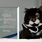 Pet Survivor of the Year Award Goes to Severely Burned Cat