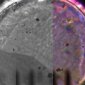 Phoenix Relays Back Images of Martian Dust Particles