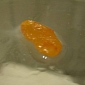 Phosphorus Mistaken for Amber Explodes in Man's Pocket