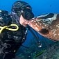 Photo Captures the Moment Fish Gives Diver a Sloppy Kiss